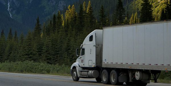 3 Reasons to Have Your Fleet Managed by a Single Company